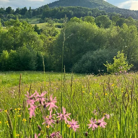 Villa Dom W Starym Sadzie Z Basenem I Sauna - Beskid Wyspowy