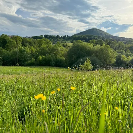 Villa Dom W Starym Sadzie Z Basenem I Sauna - Beskid Wyspowy *