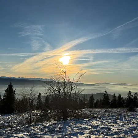 Villa Dom W Starym Sadzie Z Basenem I Sauna - Beskid Wyspowy