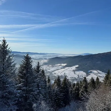Villa Dom W Starym Sadzie Z Basenem I Sauna - Beskid Wyspowy *