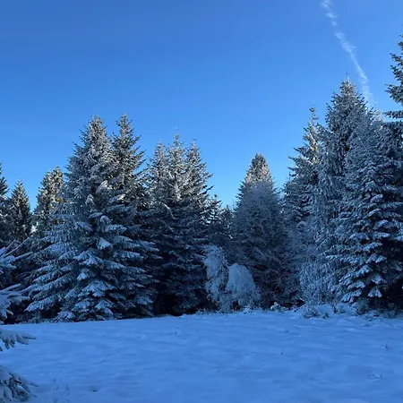 Dom W Starym Sadzie Z Basenem I Sauna - Beskid Wyspowy Villa *